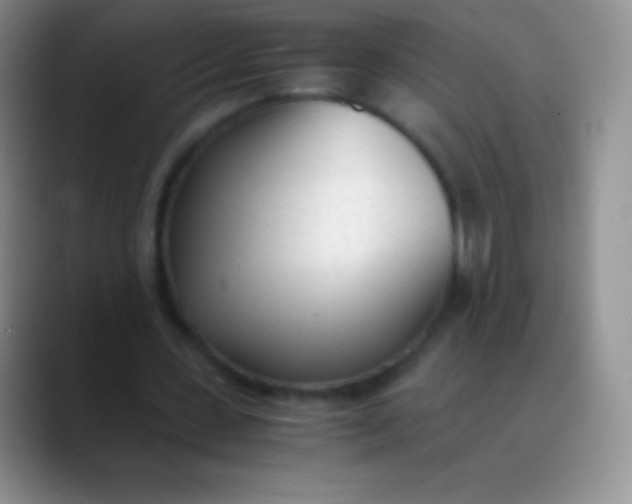 X0000089890531200707192016