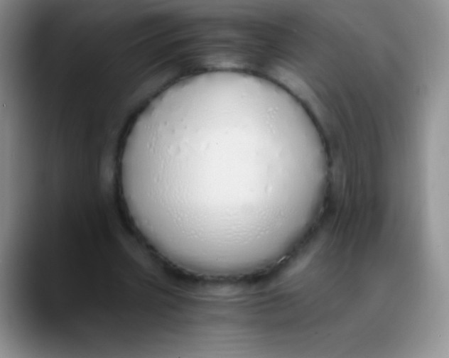 X0000089890533200707192016