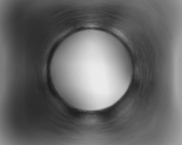 X0000089890535200707192016