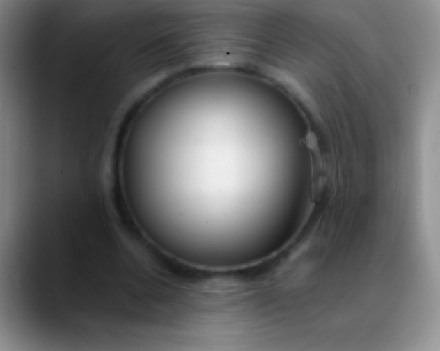 X0000089890536200707192016