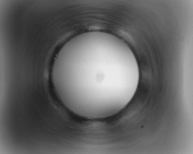 X0000089890539200707192016