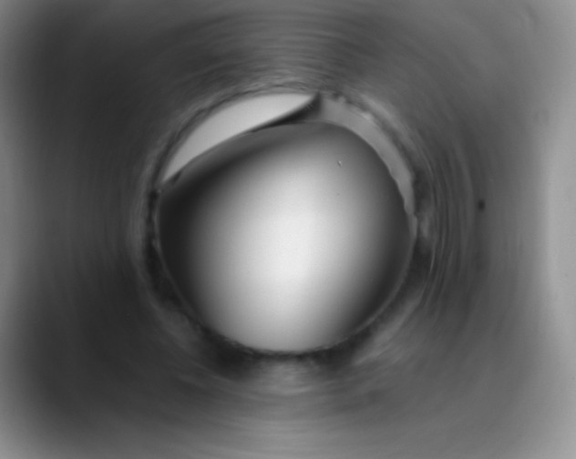 X0000089890540200707192016