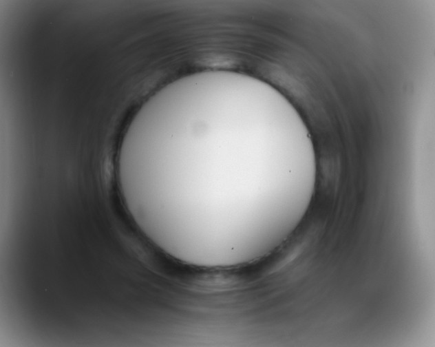 X0000089890541200707192016