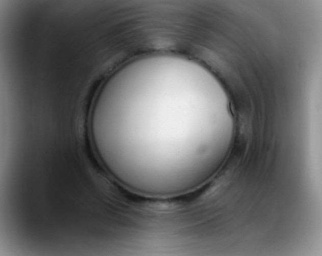 X0000089890542200707192016