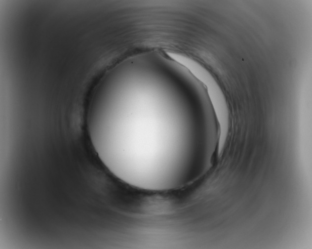 X0000089890544200707192016