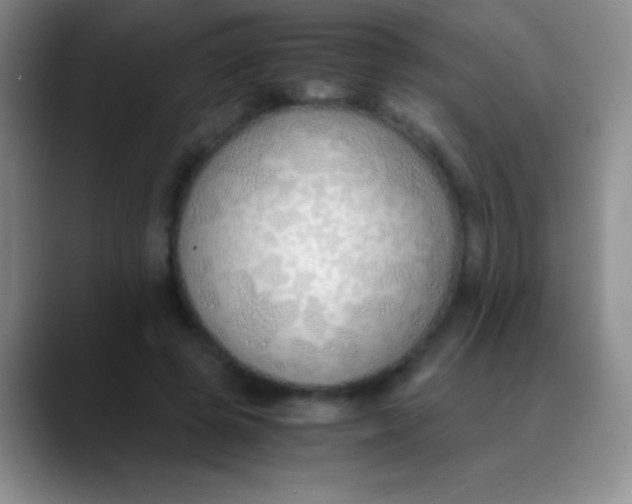 X0000089890545200707192016