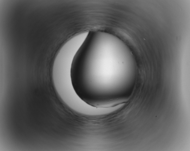 X0000089890546200707192016