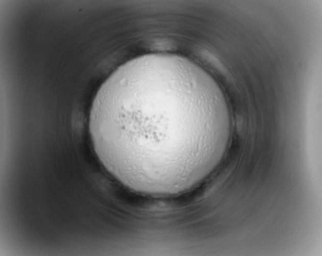 X0000089890549200707192016