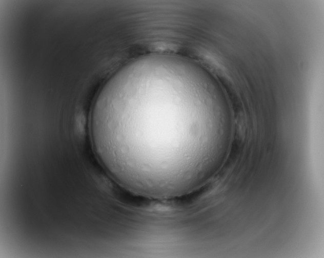 X0000089890550200707192016