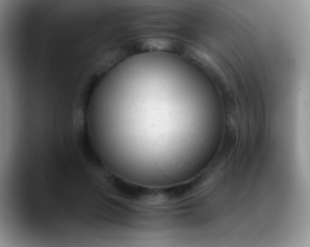 X0000089890551200707192016