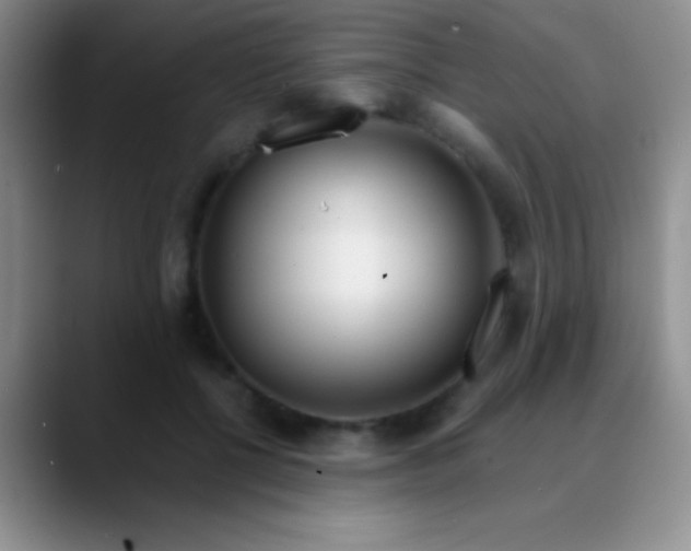 X0000089890552200707192016