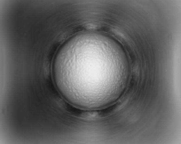 X0000089890554200707192016