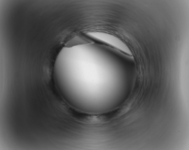 X0000089890558200707192016