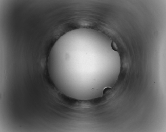 X0000089890559200707192016