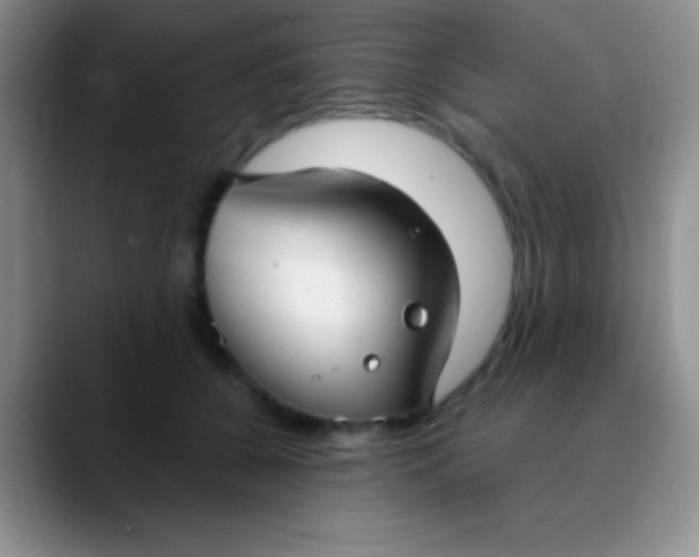 X0000089890560200707192016