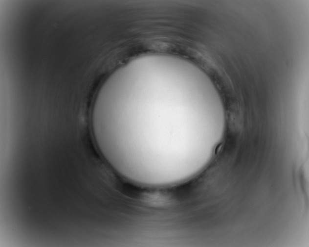 X0000089890561200707192016