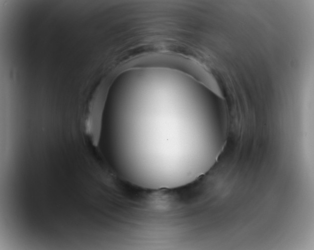 X0000089890562200707192016