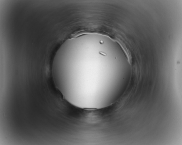 X0000089890564200707192016