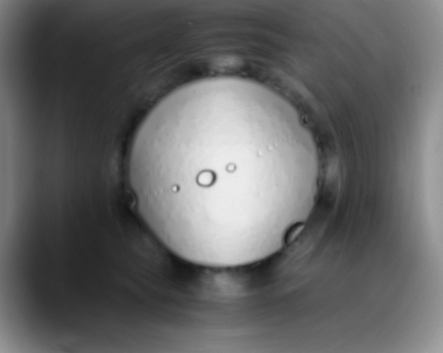 X0000089890565200707192016