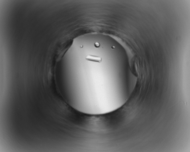 X0000089890566200707192016