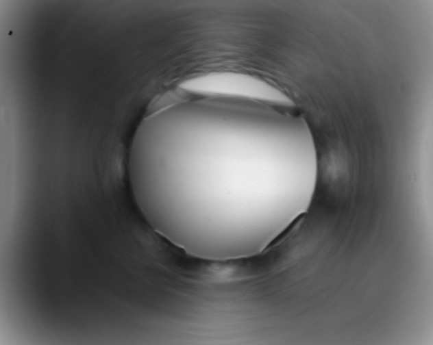 X0000089890570200707192016