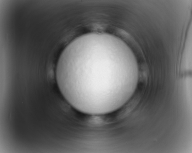 X0000089890573200707192016