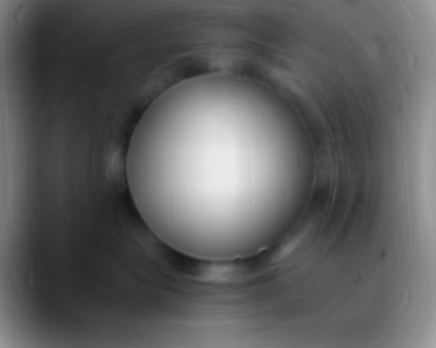 X0000089890575200707192016