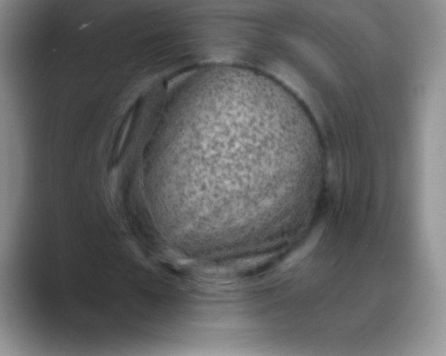 X0000089890577200707192016