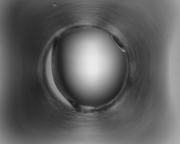 X0000089890580200707192016