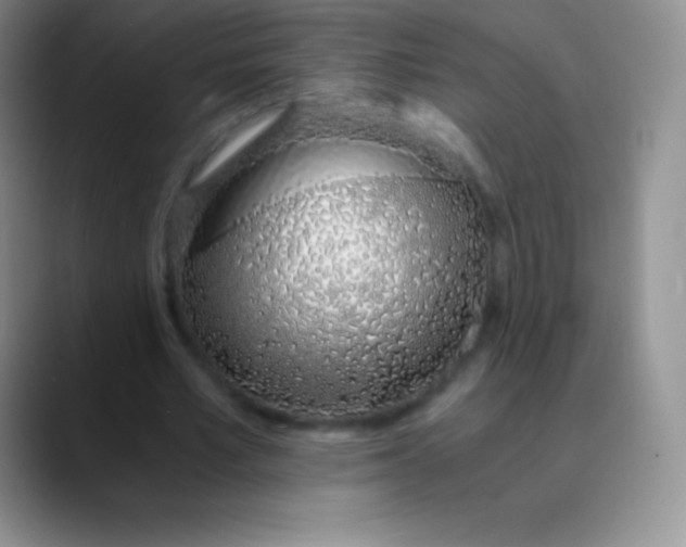 X0000089890581200707192016