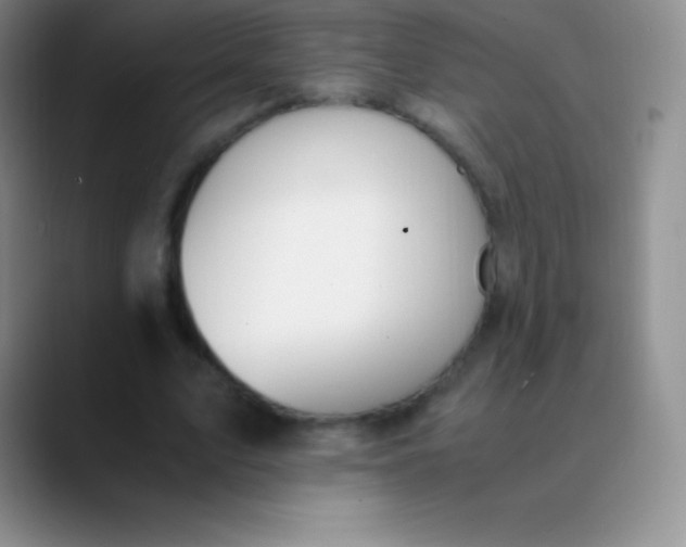 X0000089890583200707192016