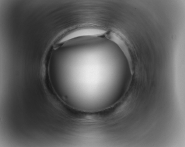 X0000089890584200707192016