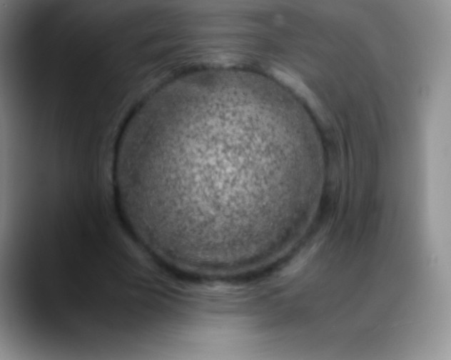 X0000089890585200707192016