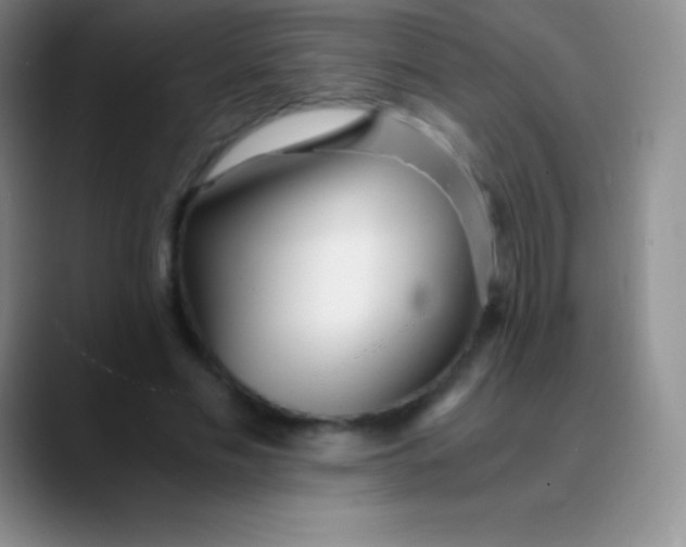 X0000089890589200707192016