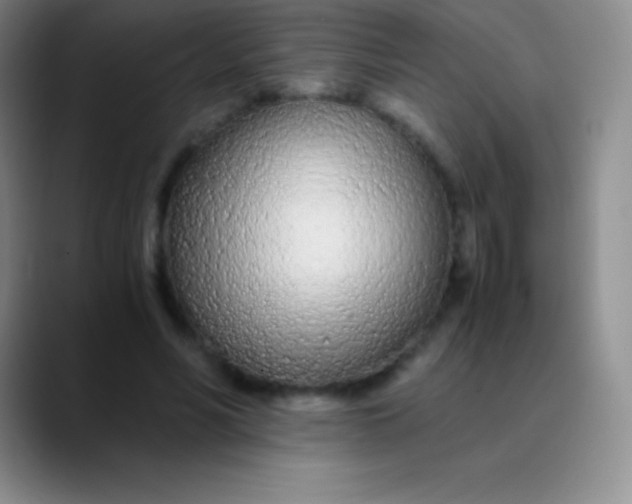 X0000089890590200707192016