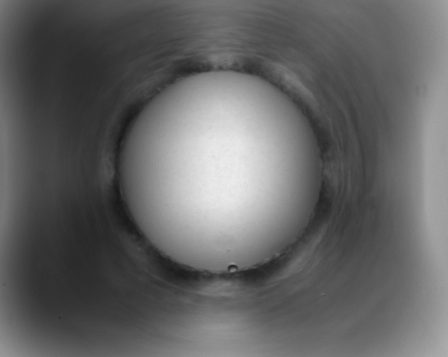 X0000089890593200707192016