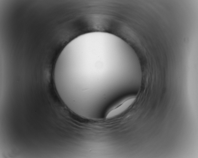 X0000089890595200707192016