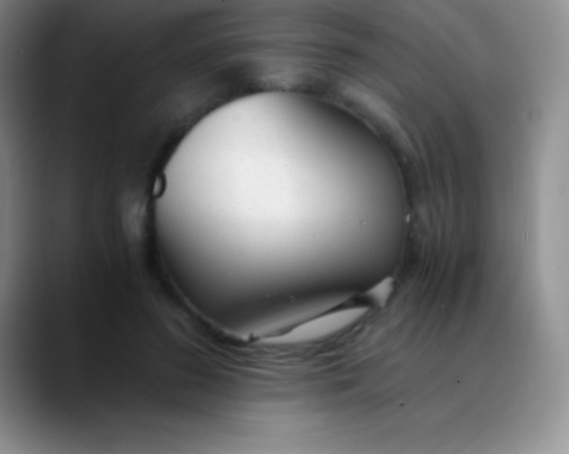 X0000089890596200707192016