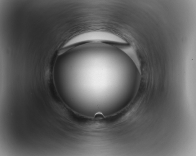 X0000089890597200707192016