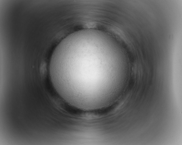 X0000089890598200707192016