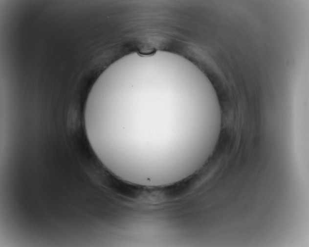 X0000089890599200707192016