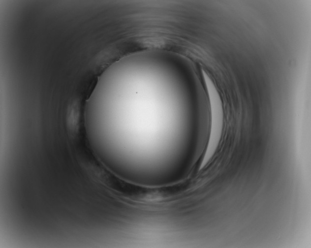 X0000089890600200707192016