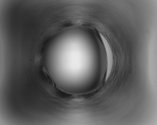 X0000089890601200707192016