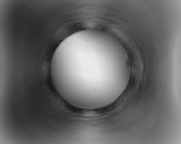 X0000089890605200707192016