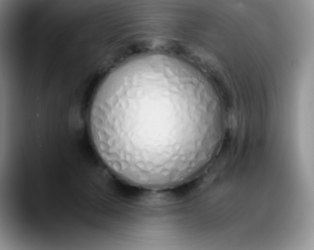 X0000089890607200707192015