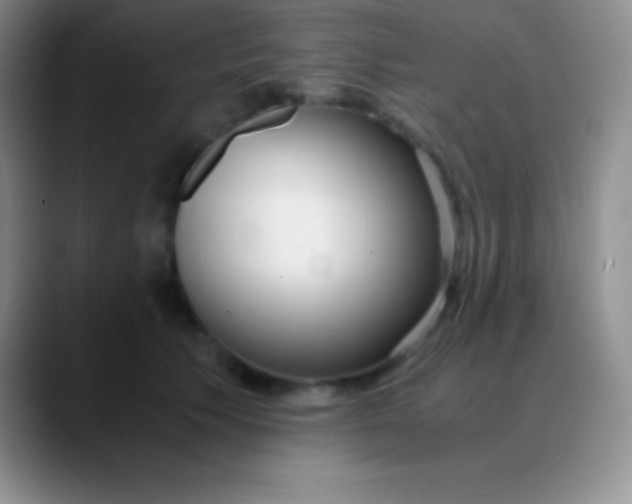 X0000089890609200707192015