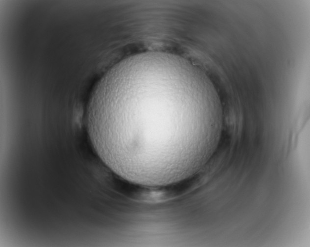 X0000089890610200707192015