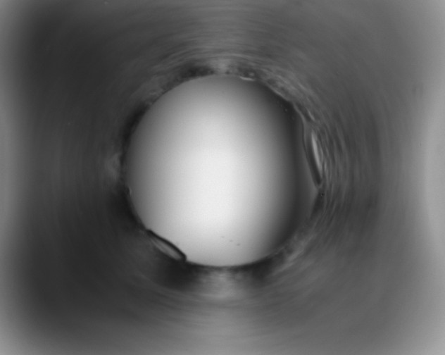 X0000089890611200707192015