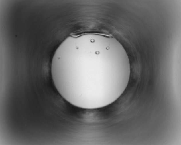 X0000089890612200707192015