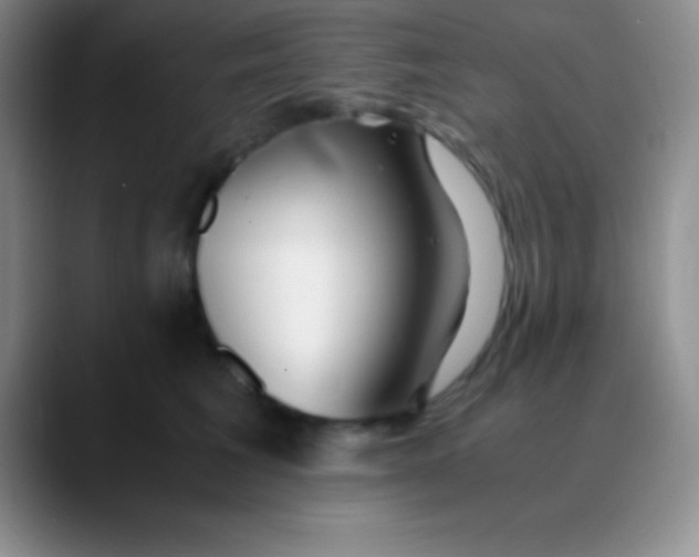 X0000089890613200707192015